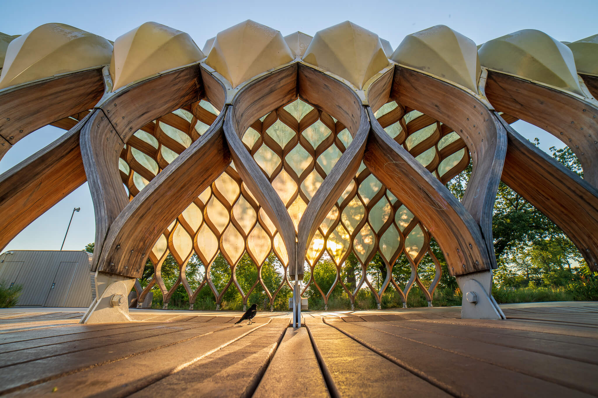 Aerial view of Chicago marina and lakefront in summer