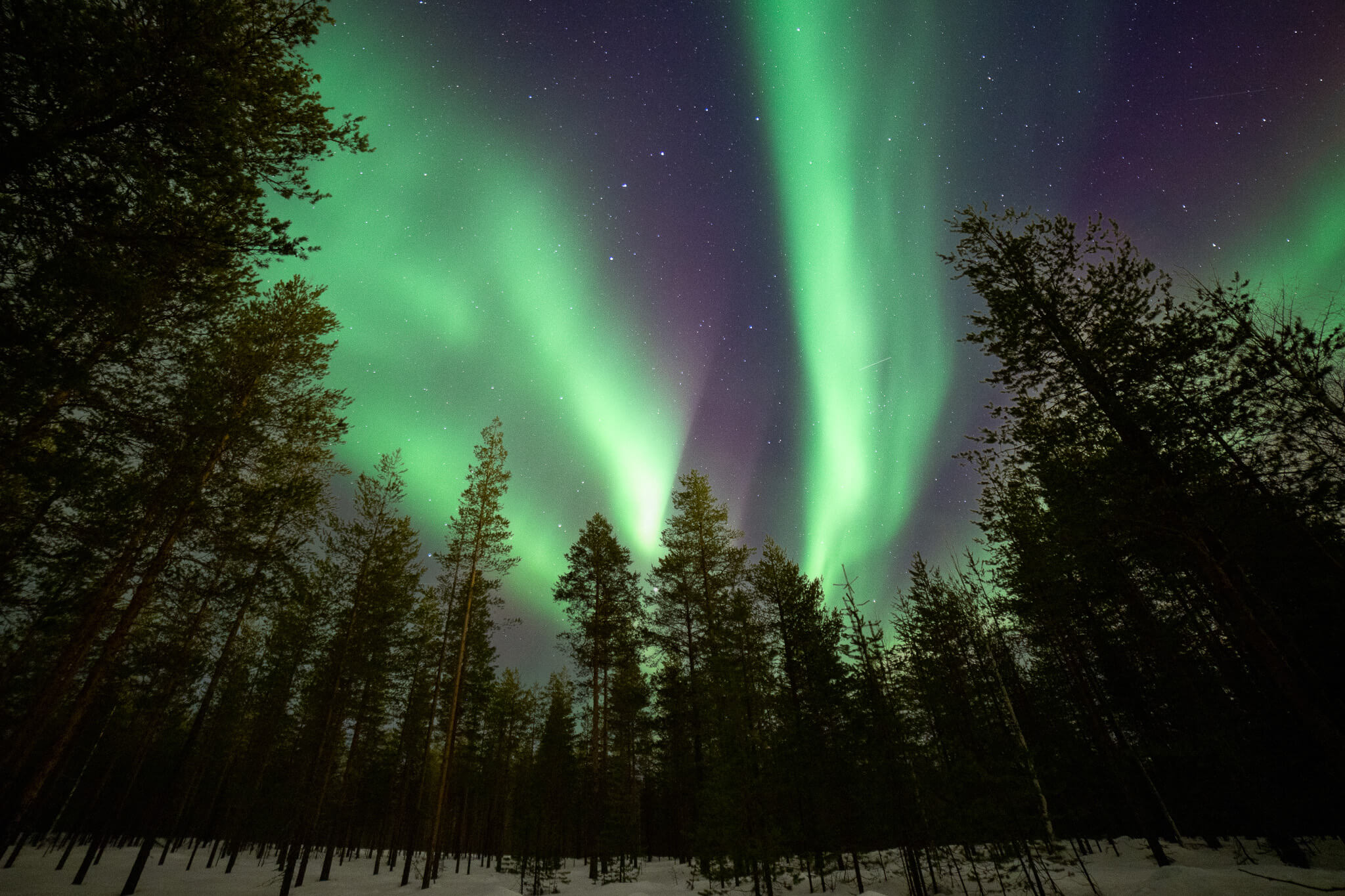 Aurora borealis above snow-covered log cabins, Lapland