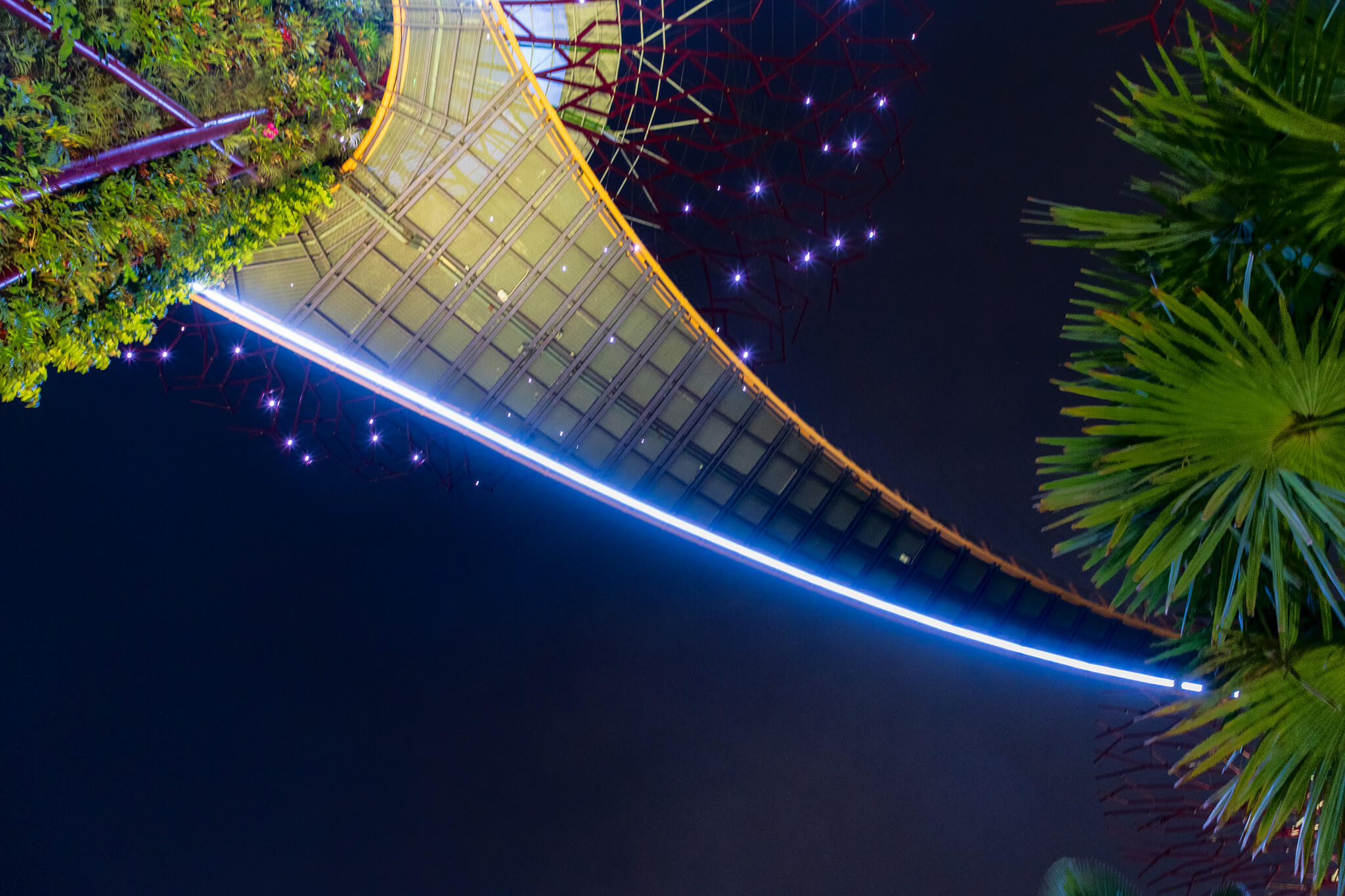 Looking up at the underside of the Flower Dome glass structure at night, Singapore
