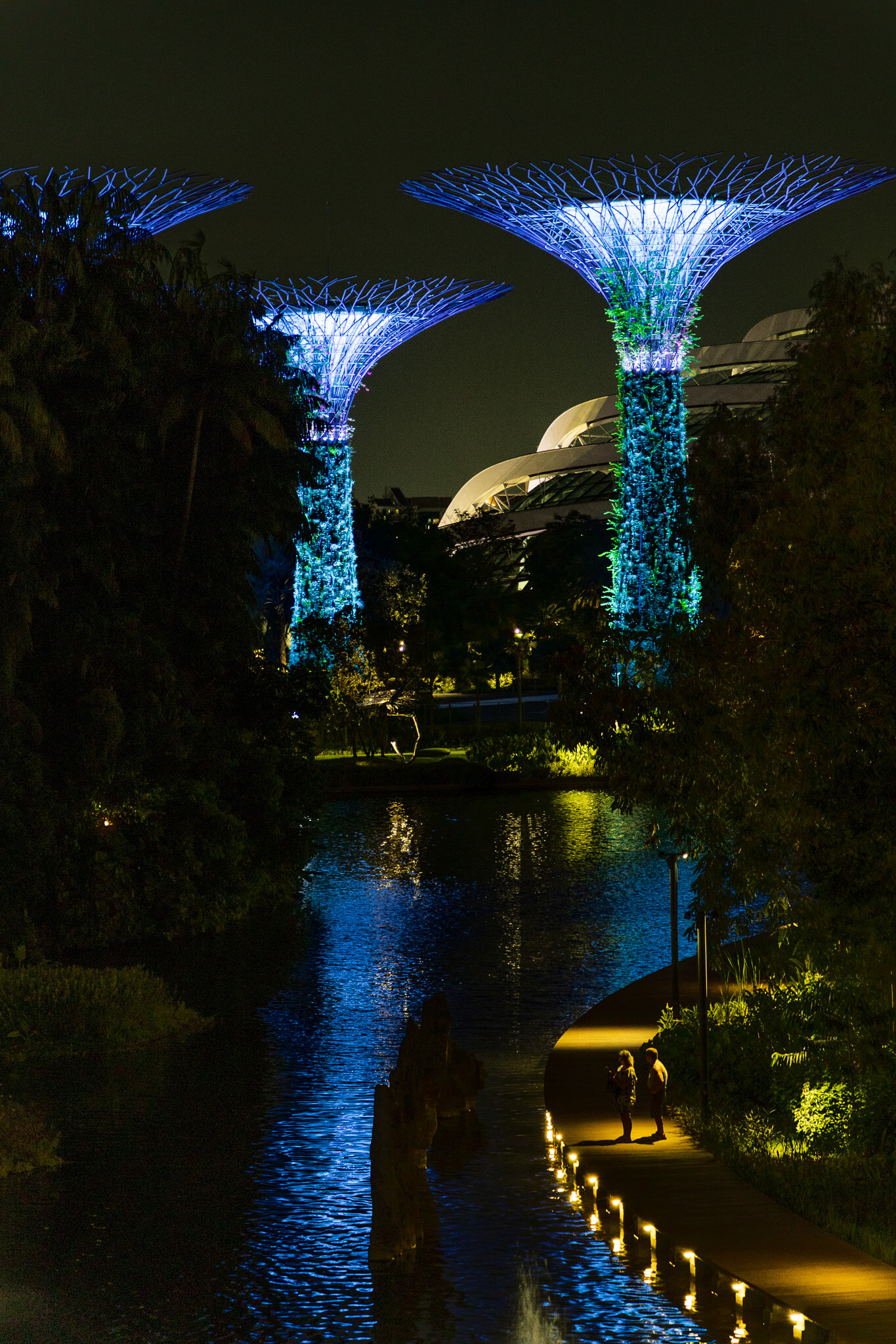 Supertrees lit in blue reflected in a still canal at Gardens by the Bay, Singapore