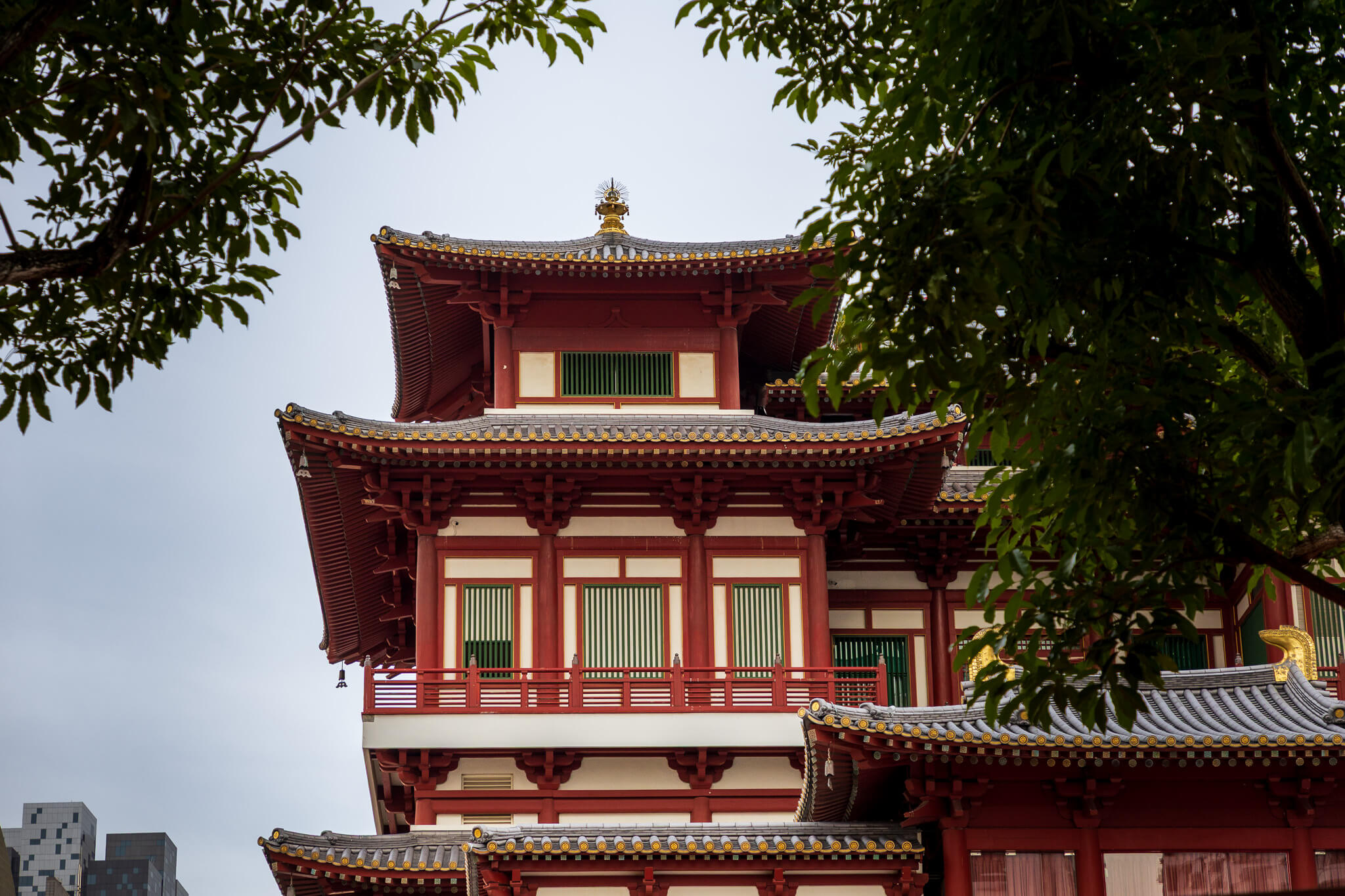 Buddha Tooth Relic Temple red and cream pagoda framed by trees in Chinatown, Singapore