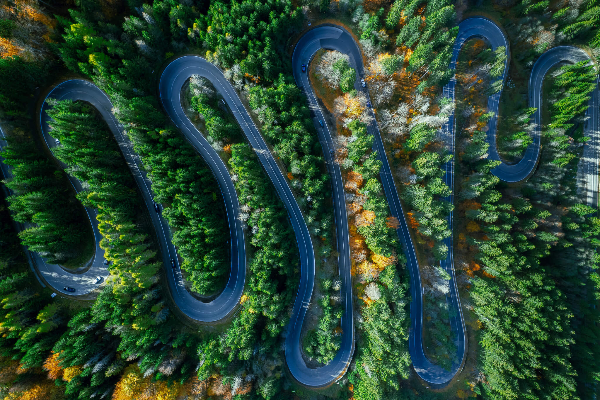 Aerial serpentine road through autumn forest, Transylvania