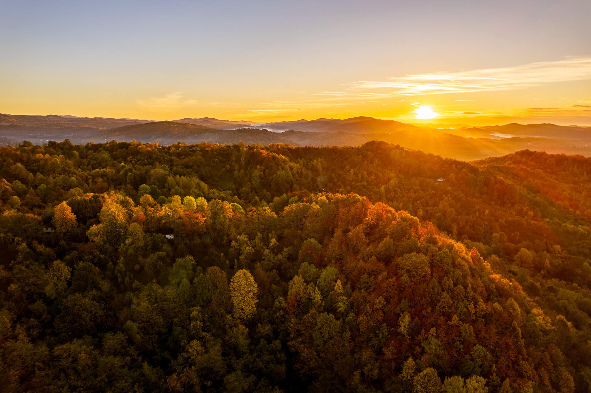 Aerial view of autumn forest at sunrise with orange and red canopy, Transylvania Romania