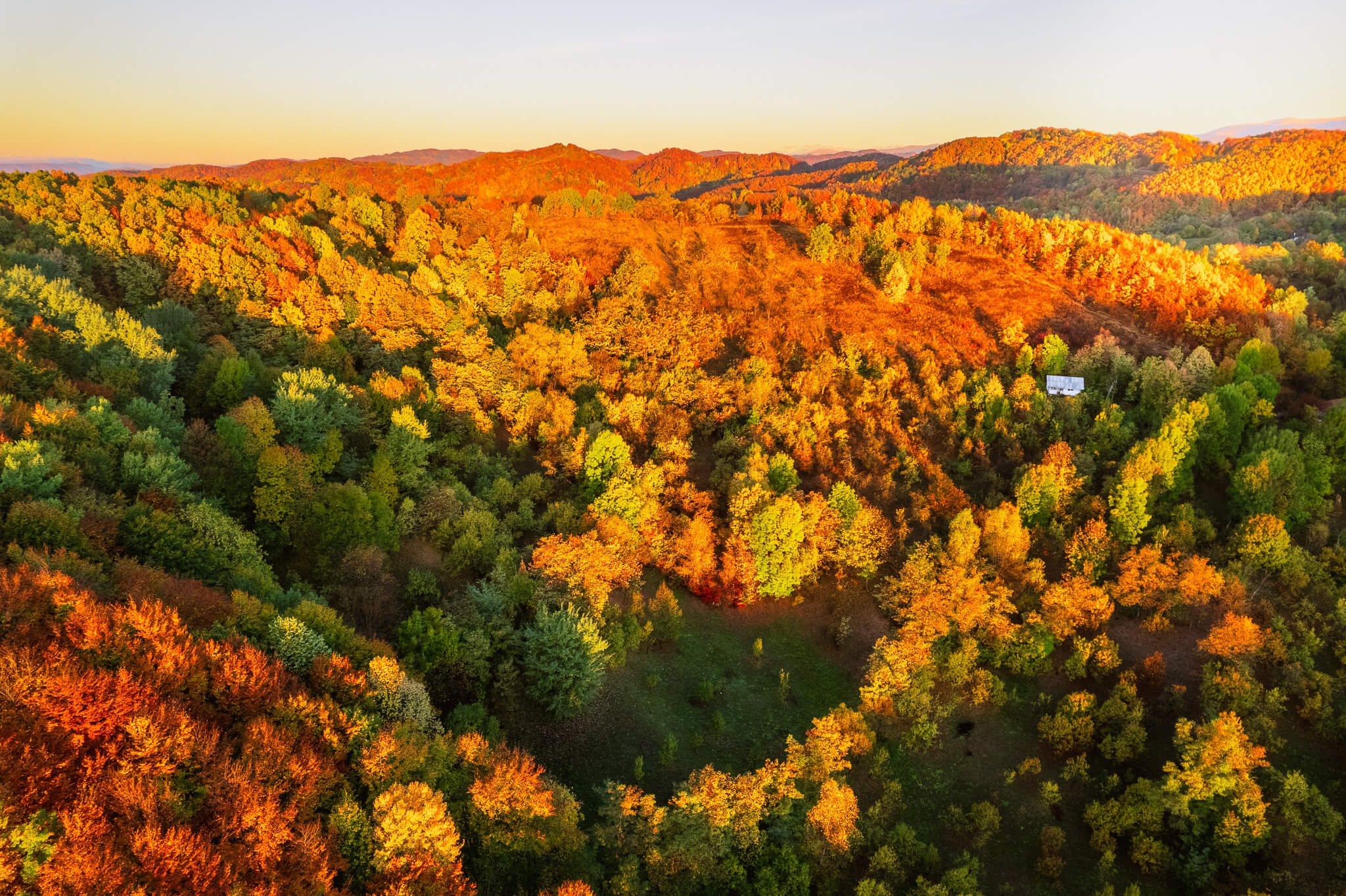 Aerial golden autumn forest valley at sunset, Transylvania Romania