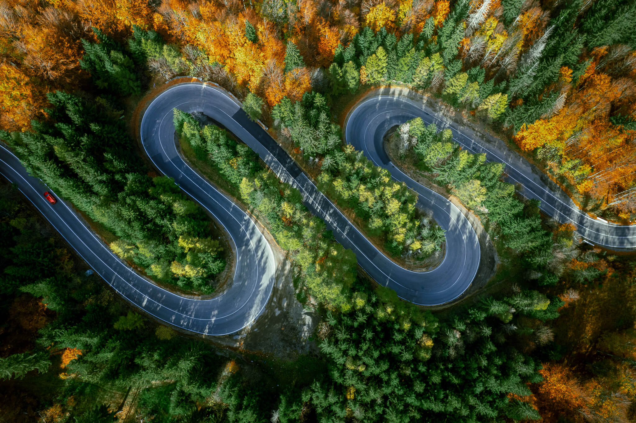 Aerial of S-bend mountain road with red car through autumn forest, Transylvania Romania