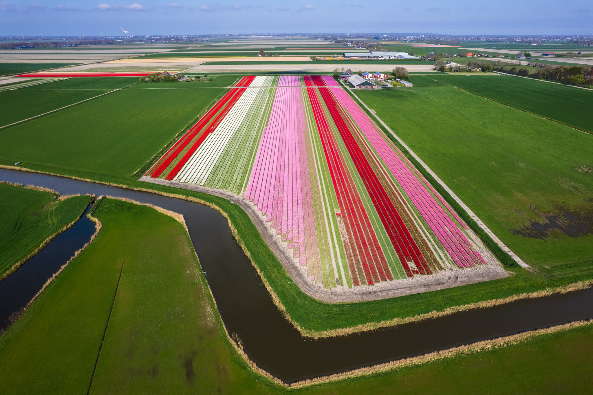 Aerial view of tulip field island surrounded by canals in flat Dutch polder landscape